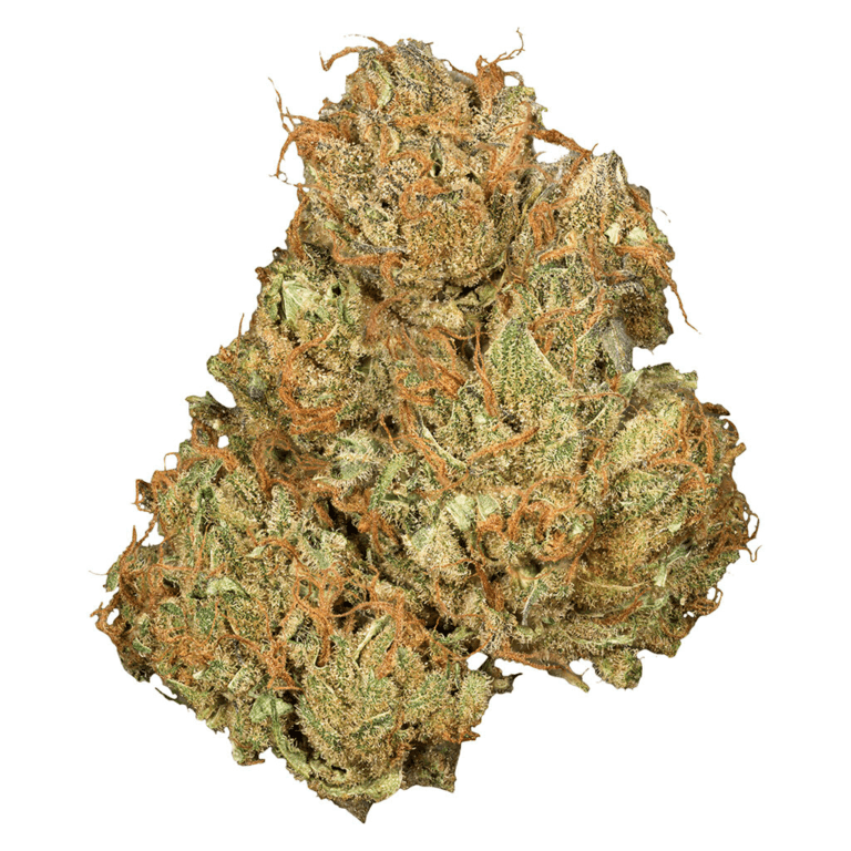 Orchid CBD Jean Guy CBD — Sativa, 3.5g