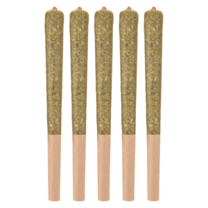 Woody Nelson Sunset Sherbet Craft Pre-Roll — Indica, 5x0.5g