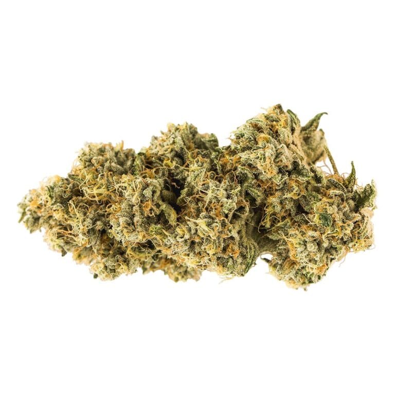 Carmel Animal Face — Sativa, 14g