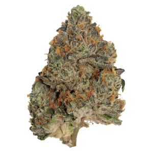 Pistol and Paris Blue Zushi — Indica, 3.5g