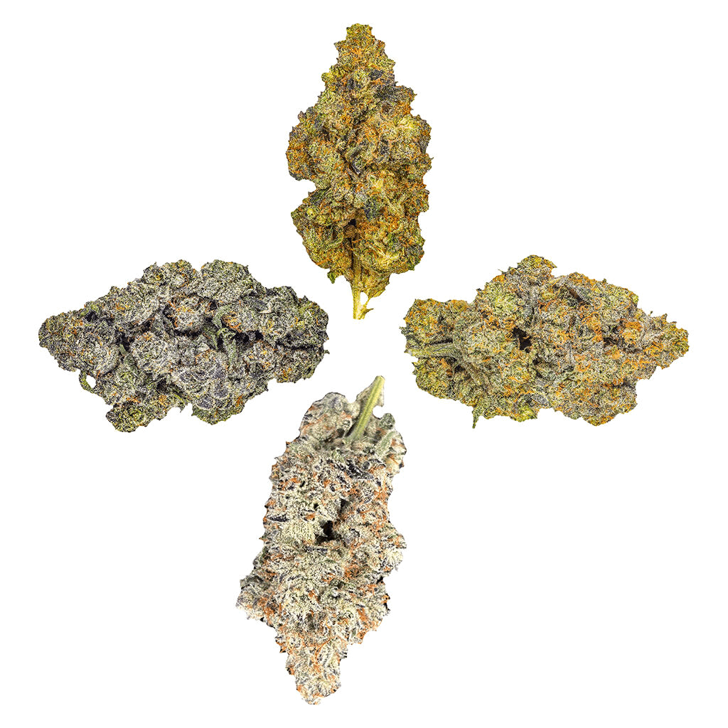 HighXotic Royal Collection: The Quartet — Indica, 14g